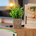 شقة Wohlfuehlapartment, Zentral, 200m Zur Uni, Parkplatz, Boxspringbetten, Massagesessel, Nespresso, Lan & Wifi ولفسبورج
